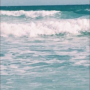 Meet your Posher, Audrey